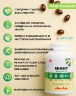 Енжект- за енергия,издържливост и след боледуване