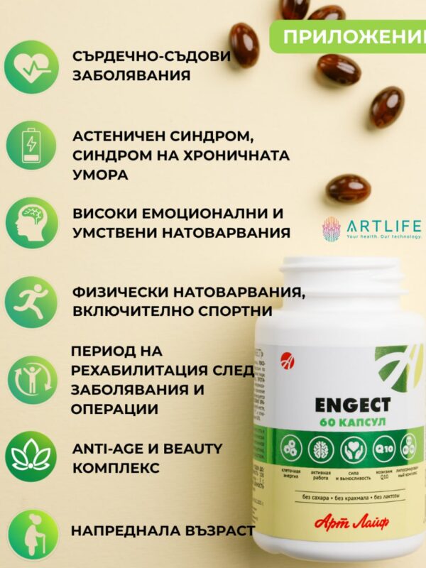 Енжект- за енергия,издържливост и след боледуване